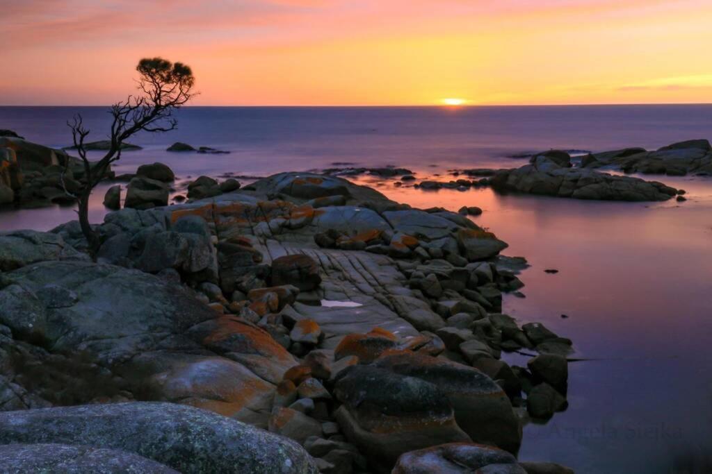 The Tin Shed Couples Accommodation At Bay Of Fires Binalong Bay Экстерьер фото