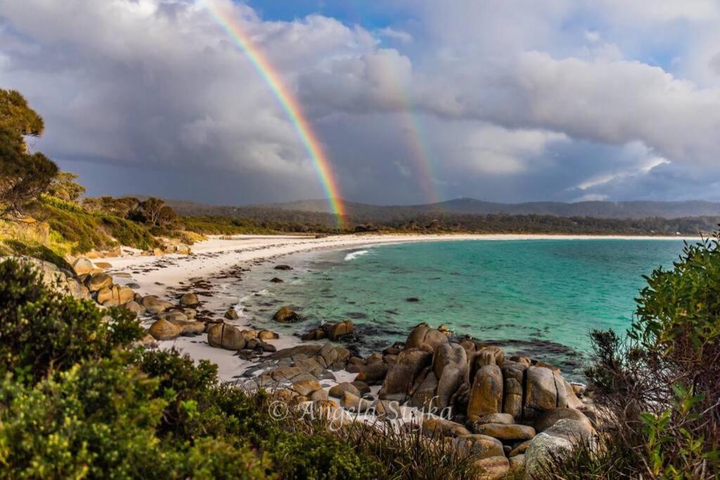 The Tin Shed Couples Accommodation At Bay Of Fires Binalong Bay Экстерьер фото